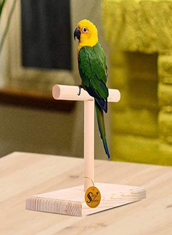 سايج سكوير طاولة تسلق خشبية طبيعية مربعة الشكل من خشب المريمية، مثالية للعب الطيور الصغيرة، تُوضع على القفص أو كقطعة إضافية. - Image 2